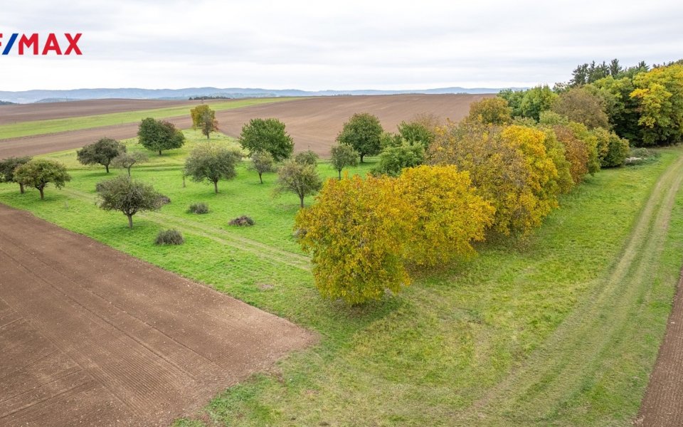 Prodej pozemku 6588 m², Panoší Újezd